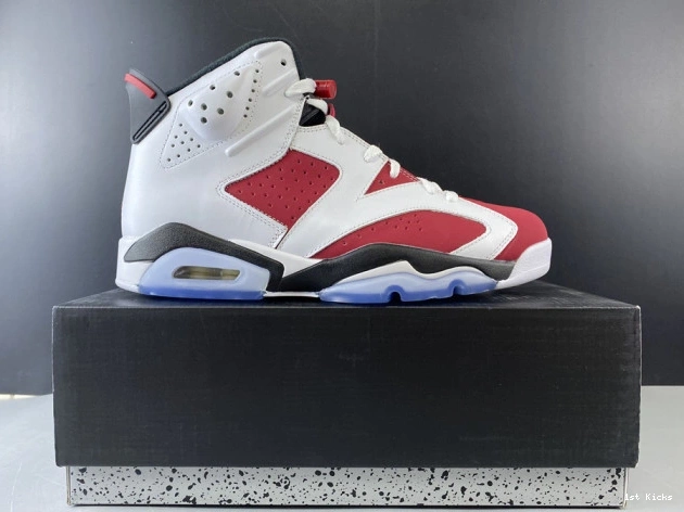 JORDAN 384664-160 AIR 2014 RETRO 'CARMINE' 6 0706